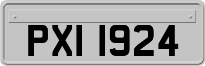 PXI1924