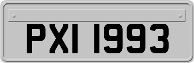 PXI1993