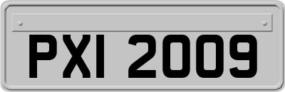 PXI2009