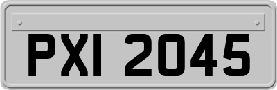 PXI2045