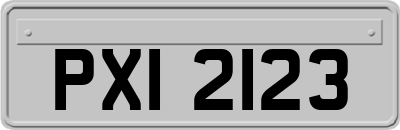 PXI2123