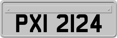 PXI2124