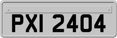 PXI2404