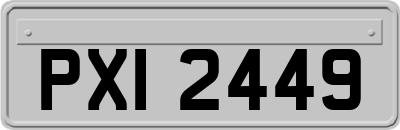 PXI2449