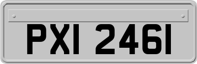 PXI2461