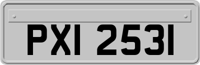 PXI2531