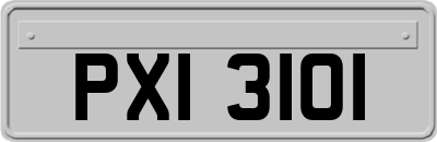 PXI3101