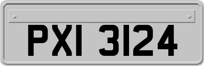 PXI3124