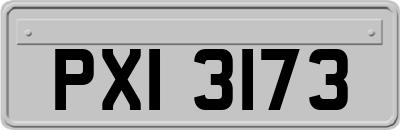 PXI3173