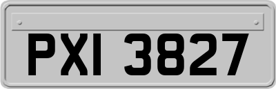 PXI3827