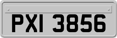 PXI3856