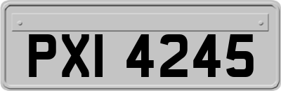 PXI4245