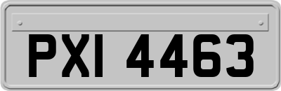 PXI4463