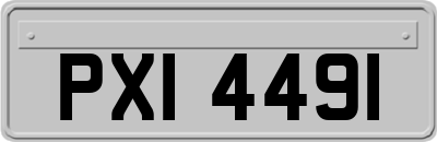 PXI4491