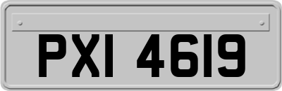 PXI4619