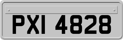 PXI4828