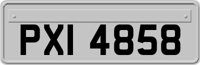 PXI4858