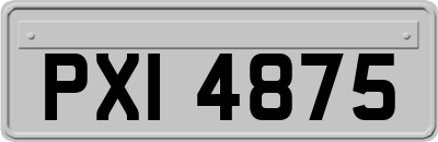 PXI4875