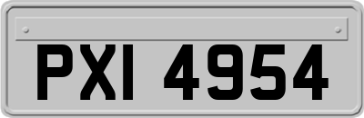 PXI4954