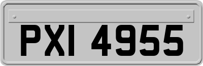 PXI4955