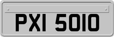 PXI5010