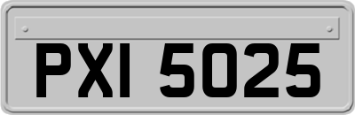 PXI5025