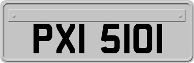 PXI5101