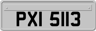 PXI5113