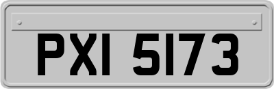 PXI5173