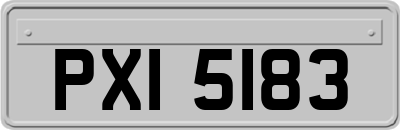 PXI5183