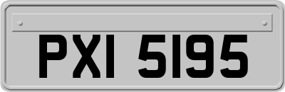 PXI5195