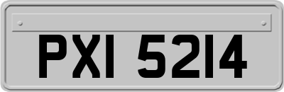 PXI5214