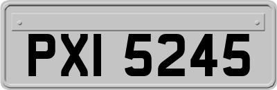 PXI5245