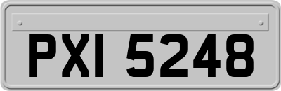 PXI5248