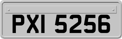 PXI5256