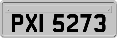 PXI5273