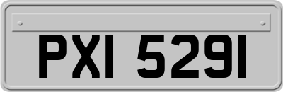 PXI5291