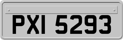 PXI5293