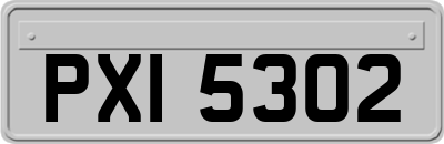 PXI5302