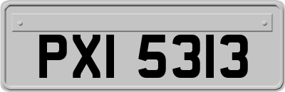 PXI5313