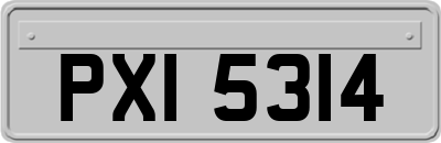 PXI5314