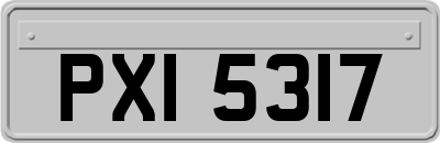 PXI5317