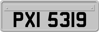 PXI5319