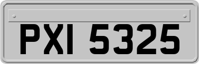 PXI5325