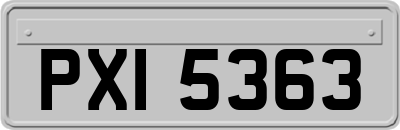 PXI5363