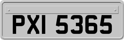 PXI5365