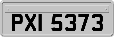 PXI5373