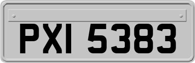 PXI5383