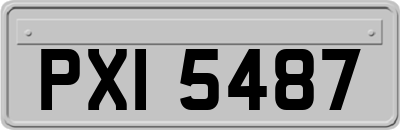 PXI5487