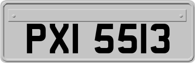 PXI5513